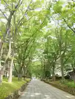 武蔵一宮氷川神社(埼玉県)
