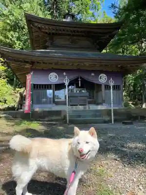 大善寺(山梨県)