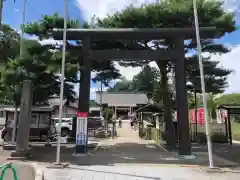 櫻岡大神宮の鳥居