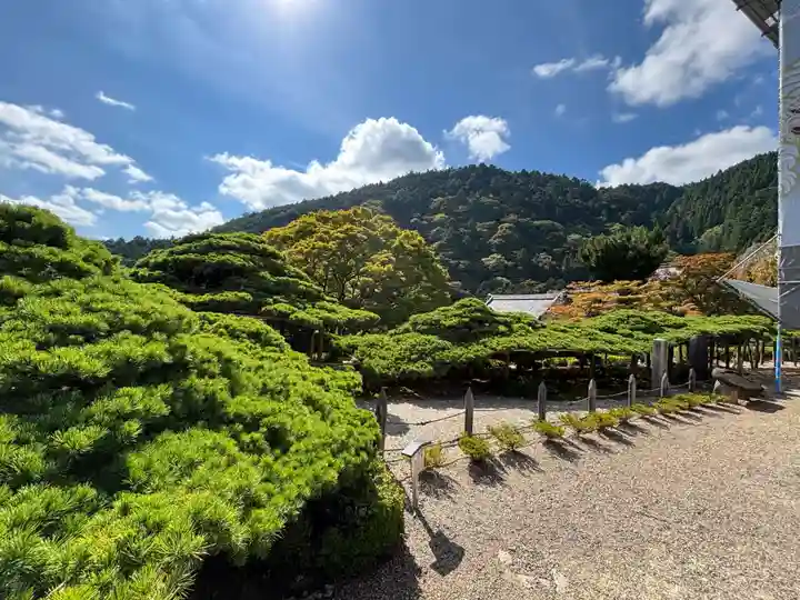 善峯寺(京都府)