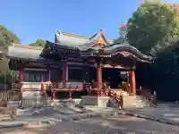 武蔵野八幡宮の本殿・本堂