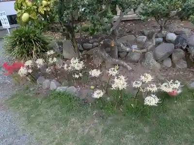 龍口寺(神奈川県)