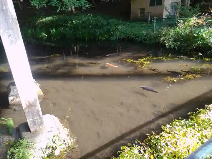 赤城神社(三夜沢町)(群馬県)
