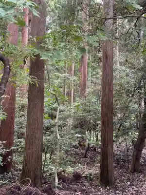 彌彦神社(新潟県)