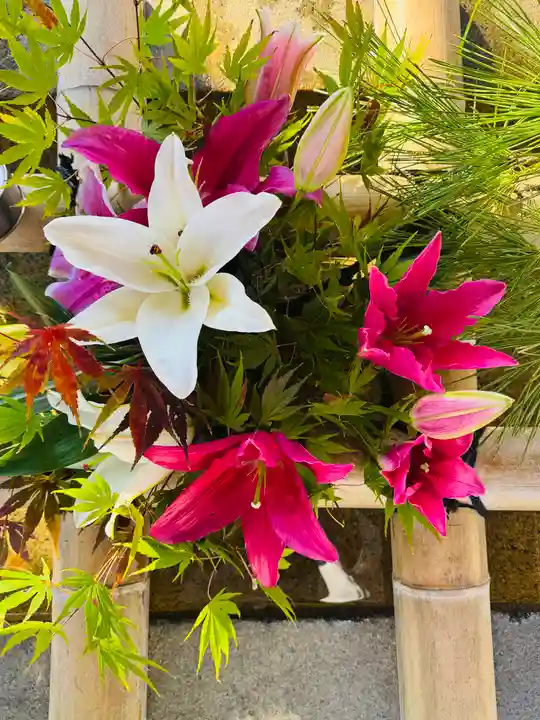 守りの神 藤基神社(新潟県)