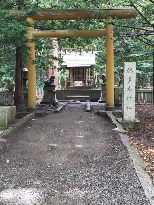 北海道神宮の鳥居