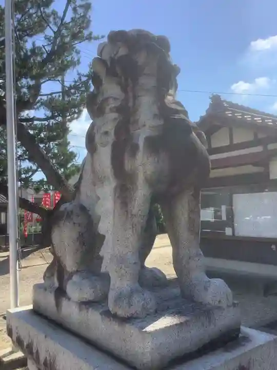新田白山神社の狛犬