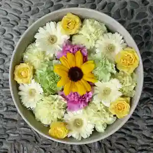 帯廣神社の手水舎(2024年08月05日(月) 11時12分22秒投稿)