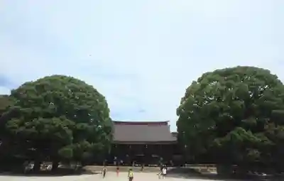 明治神宮(東京都)