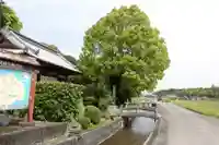 大興寺(香川県)