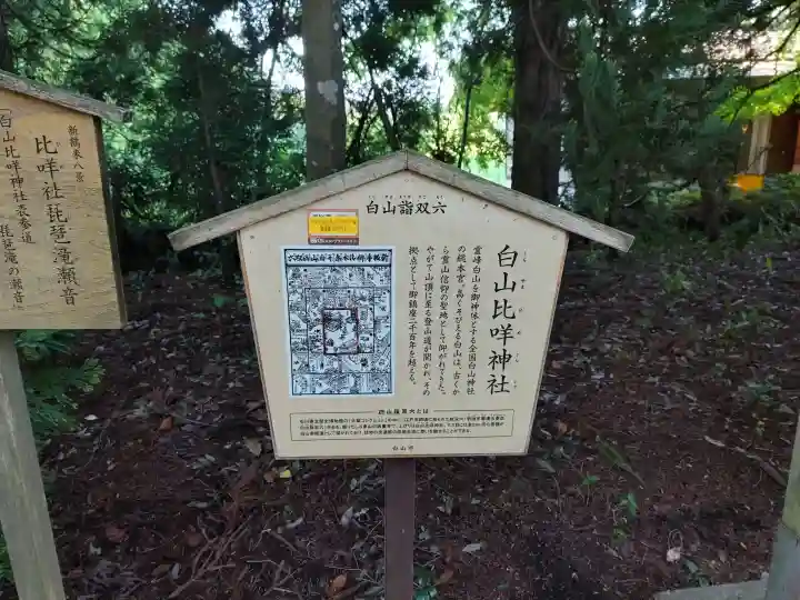 白山比咩神社の{uncategorized: "未分類", other: "その他", undefined: "問題あり", building: "その他建物", grave: "お墓", sacred_gate: "鳥居", guardian: "狛犬", statue: "像", buddha: "仏像", history: "歴史", nature: "自然", garden: "庭園", animal: "動物", pagoda: "塔", temizu: "手水舎", mountain_gate: "山門・神門", sanctuary: "本殿・本堂", subordinate: "末社・摂社", art: "芸術", scenery: "景色", jizo: "地蔵", ema: "絵馬", goshuin: "御朱印", omikuji: "おみくじ", items: "授与品その他", amulet: "お守り", goshuincho: "御朱印帳", eats: "食事", festival: "お祭り", votive_dance: "神楽", shichigosan: "七五三参", wedding: "結婚式", experience: "体験その他", initially: "初詣", around: "周辺", anti_infection: "感染症対策"}