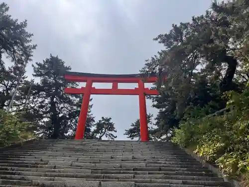 函館護國神社の鳥居