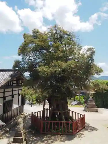山王宮日吉神社(京都府)