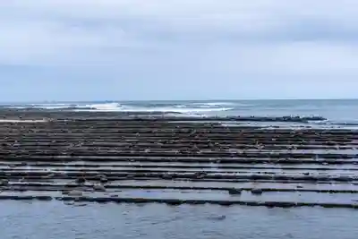 青島神社（青島神宮）(宮崎県)
