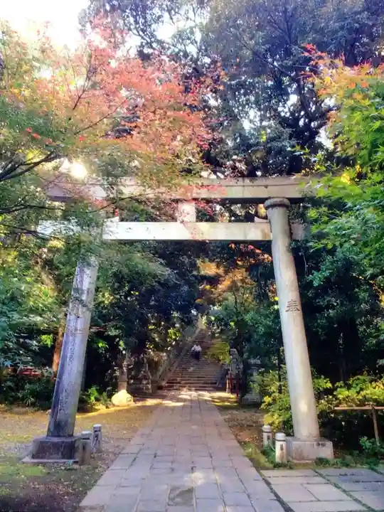 赤坂氷川神社(東京都)