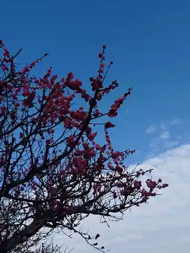 網敷神社(福岡県)