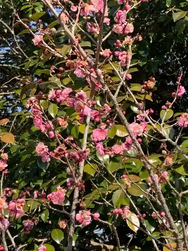三田天満宮の自然