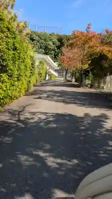 高樹院(京都府)