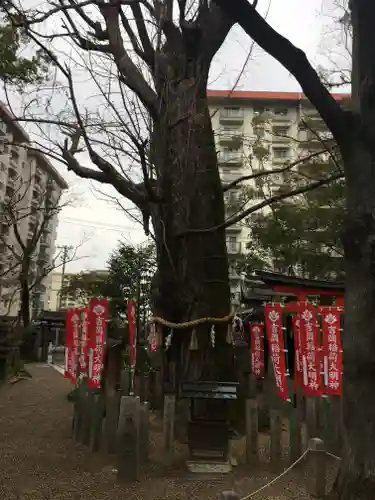 杭全神社の自然