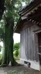 稲荷神社の本殿