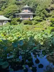 光明寺の建物その他