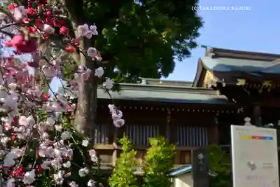 鳩ヶ谷氷川神社(埼玉県)