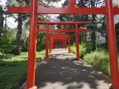 札幌伏見稲荷神社の鳥居