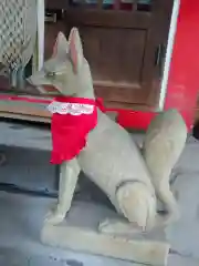 讃岐小白稲荷神社の狛犬