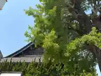 聖安寺の{uncategorized: "未分類", other: "その他", undefined: "問題あり", building: "その他建物", grave: "お墓", sacred_gate: "鳥居", guardian: "狛犬", statue: "像", buddha: "仏像", history: "歴史", nature: "自然", garden: "庭園", animal: "動物", pagoda: "塔", temizu: "手水舎", mountain_gate: "山門・神門", sanctuary: "本殿・本堂", subordinate: "末社・摂社", art: "芸術", scenery: "景色", jizo: "地蔵", ema: "絵馬", goshuin: "御朱印", omikuji: "おみくじ", items: "授与品その他", amulet: "お守り", goshuincho: "御朱印帳", eats: "食事", festival: "お祭り", votive_dance: "神楽", shichigosan: "七五三参", wedding: "結婚式", experience: "体験その他", initially: "初詣", around: "周辺", anti_infection: "感染症対策"}