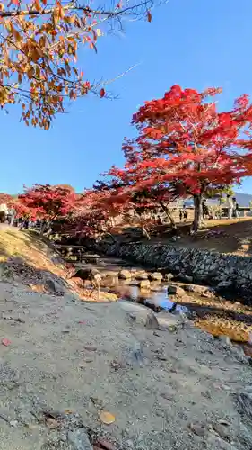 夫婦大國社（春日大社末社）(奈良県)