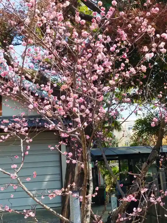 柴籬神社(大阪府)