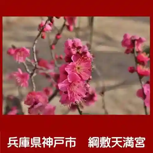 綱敷天満宮の自然