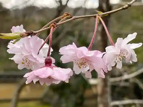 十輪寺(京都府)