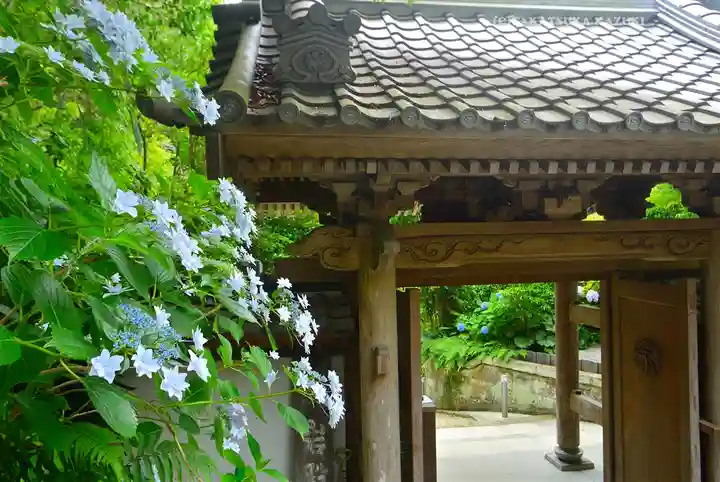 岩殿寺(神奈川県)