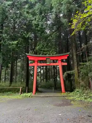 箱根神社(神奈川県)