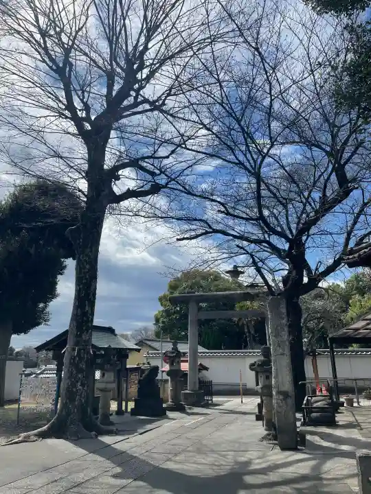 香取神社の{uncategorized: "未分類", other: "その他", undefined: "問題あり", building: "その他建物", grave: "お墓", sacred_gate: "鳥居", guardian: "狛犬", statue: "像", buddha: "仏像", history: "歴史", nature: "自然", garden: "庭園", animal: "動物", pagoda: "塔", temizu: "手水舎", mountain_gate: "山門・神門", sanctuary: "本殿・本堂", subordinate: "末社・摂社", art: "芸術", scenery: "景色", jizo: "地蔵", ema: "絵馬", goshuin: "御朱印", omikuji: "おみくじ", items: "授与品その他", amulet: "お守り", goshuincho: "御朱印帳", eats: "食事", festival: "お祭り", votive_dance: "神楽", shichigosan: "七五三参", wedding: "結婚式", experience: "体験その他", initially: "初詣", around: "周辺", anti_infection: "感染症対策"}