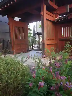 大巧寺の山門・神門