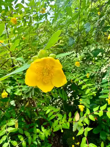 勧修寺(京都府)