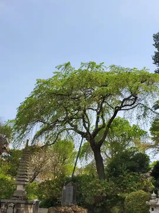 上合寺(福島県)