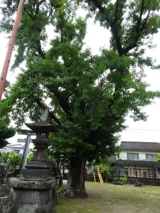 名石神社の自然