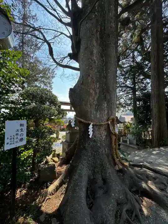 比々多神社の{uncategorized: "未分類", other: "その他", undefined: "問題あり", building: "その他建物", grave: "お墓", sacred_gate: "鳥居", guardian: "狛犬", statue: "像", buddha: "仏像", history: "歴史", nature: "自然", garden: "庭園", animal: "動物", pagoda: "塔", temizu: "手水舎", mountain_gate: "山門・神門", sanctuary: "本殿・本堂", subordinate: "末社・摂社", art: "芸術", scenery: "景色", jizo: "地蔵", ema: "絵馬", goshuin: "御朱印", omikuji: "おみくじ", items: "授与品その他", amulet: "お守り", goshuincho: "御朱印帳", eats: "食事", festival: "お祭り", votive_dance: "神楽", shichigosan: "七五三参", wedding: "結婚式", experience: "体験その他", initially: "初詣", around: "周辺", anti_infection: "感染症対策"}