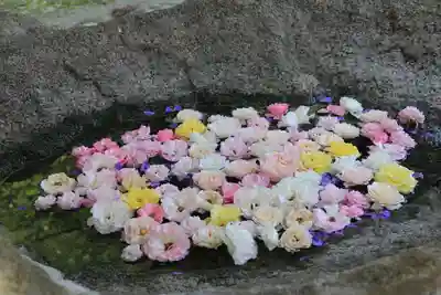 田村神社の手水舎