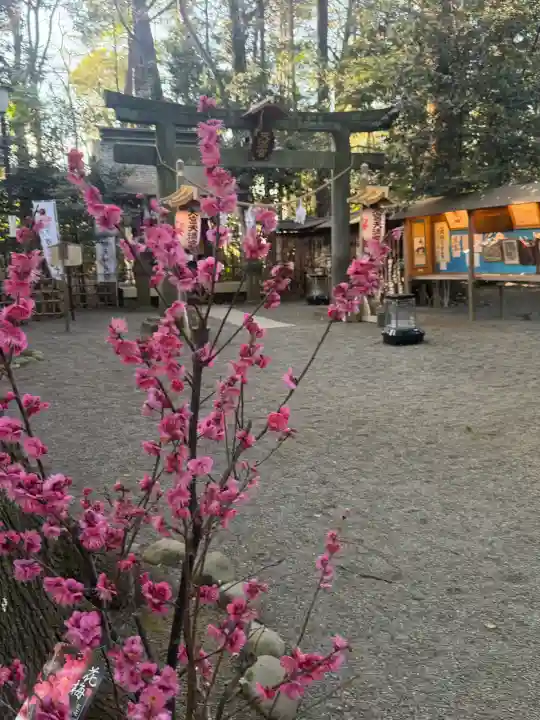 大宮天満宮の{uncategorized: "未分類", other: "その他", undefined: "問題あり", building: "その他建物", grave: "お墓", sacred_gate: "鳥居", guardian: "狛犬", statue: "像", buddha: "仏像", history: "歴史", nature: "自然", garden: "庭園", animal: "動物", pagoda: "塔", temizu: "手水舎", mountain_gate: "山門・神門", sanctuary: "本殿・本堂", subordinate: "末社・摂社", art: "芸術", scenery: "景色", jizo: "地蔵", ema: "絵馬", goshuin: "御朱印", omikuji: "おみくじ", items: "授与品その他", amulet: "お守り", goshuincho: "御朱印帳", eats: "食事", festival: "お祭り", votive_dance: "神楽", shichigosan: "七五三参", wedding: "結婚式", experience: "体験その他", initially: "初詣", around: "周辺", anti_infection: "感染症対策"}