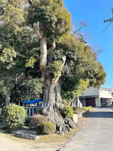 八幡神社(滋賀県)