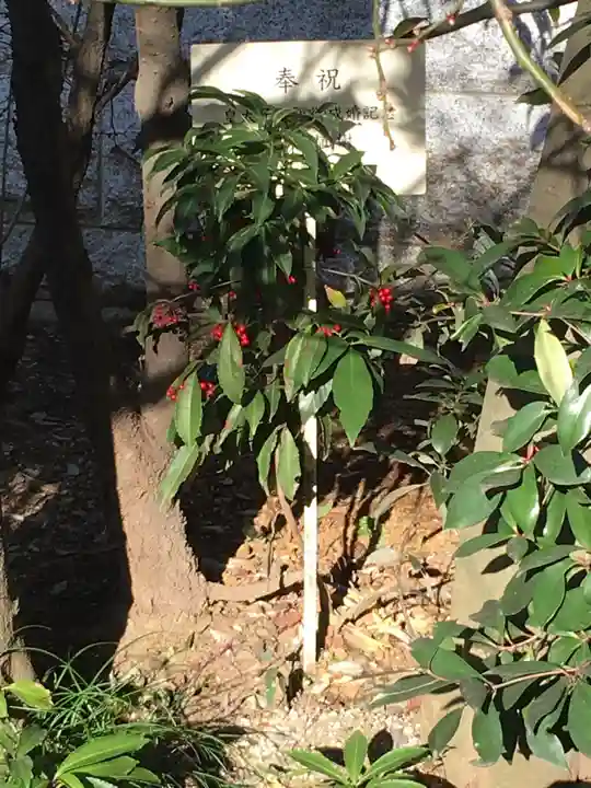 馬橋稲荷神社の自然