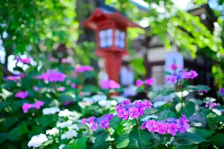川越八幡宮(埼玉県)