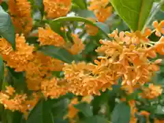 滑川神社 - 仕事と子どもの守り神(福島県)