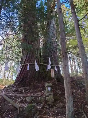 戸隠神社火之御子社(長野県)