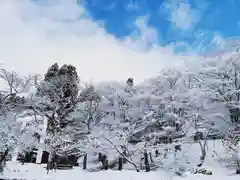 土津神社｜こどもと出世の神さまの自然