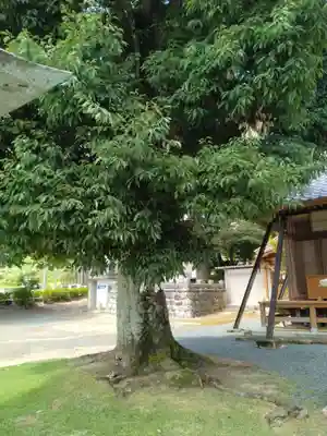 益子神社(福島県)